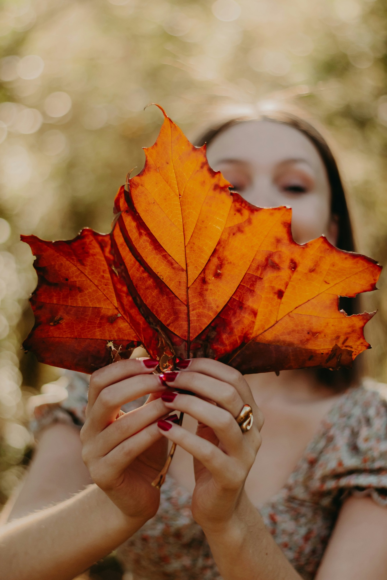 A woman holding an autumn oak leaf
